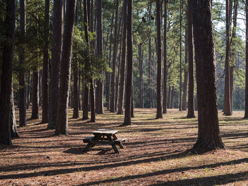 Measles cases in South Carolina rise by 6 to 979 – Yahoo