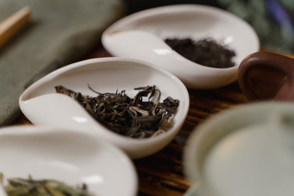 He spent decades perfecting his voice. Now he says Google stole it. – The Washington Post