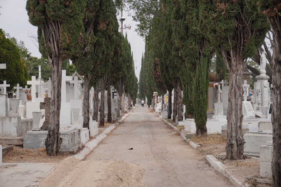 Jalisco cartel leader ‘El Mencho’ buried in a golden casket in a Guadalajara cemetery – AP News