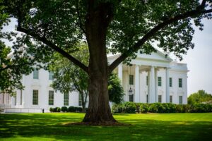 Trump, When Asked About White House Meeting with Anthropic’s Dario Amodei: ‘Who?’ – Gizmodo