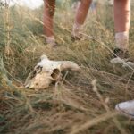 Human remains identified as pair who vanished after Oklahoma car chase 13 years ago – CBS News: What You Need To Know